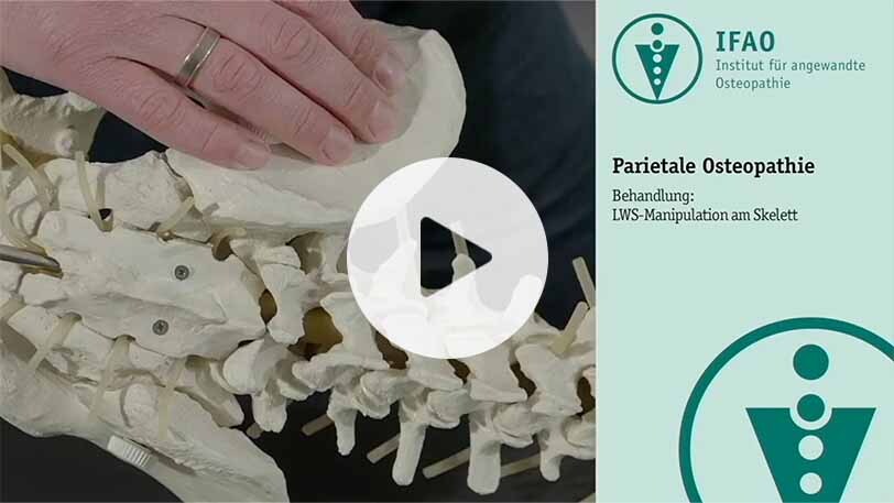 Video: Parietal - LWS-Manipulation am Skelett 